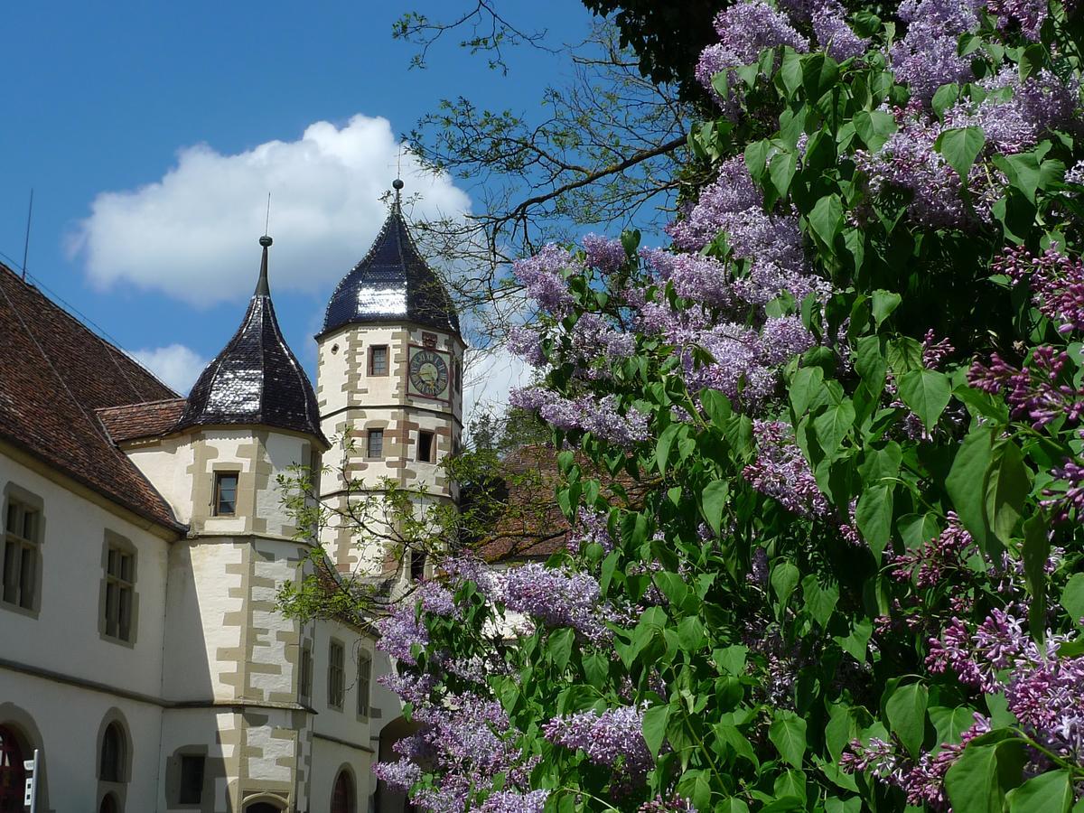 Schloss Haigerloch Екстериор снимка
