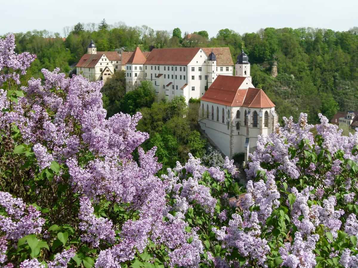 Schloss Haigerloch Екстериор снимка